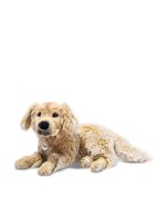 Andor Golden Retriever