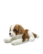 Bernhard Bernhardiner