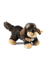 Moritz Rauhaardackel