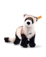 National Geographic Feri Frettchen