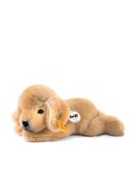 Kleiner Freund Golden Retriever-Welpe Lumpi