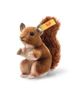 Wildlife Giftbox Eichhörnchen