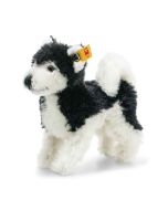 Wildlife Giftbox Husky