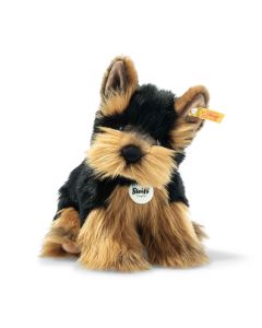Herkules Yorkshire Terrier