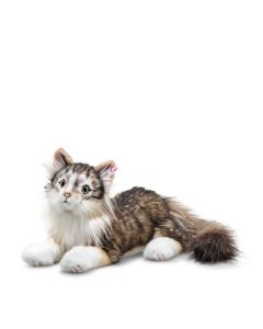 Lesley Anne Ivory's Agneatha