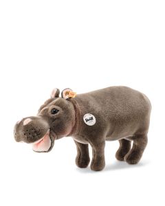 National Geographic Hedda Nilpferd