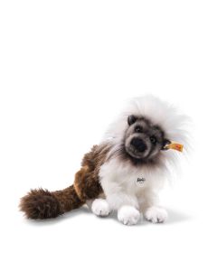 National Geographic Tami Affe