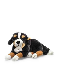 Senni Berner Sennenhund