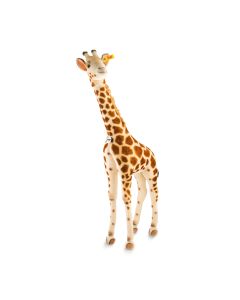Studio Giraffe