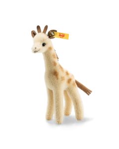 Wildlife Giftbox Giraffe